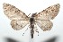  ( - 16-SRNP-101230)  @13 [ ] CreativeCommons  Attribution Non-Commercial Share-Alike (2017) Daniel H. Janzen Guanacaste Dry Forest Conservation Fund