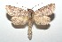  ( - 16-SRNP-101312)  @14 [ ] CreativeCommons  Attribution Non-Commercial Share-Alike (2017) Daniel H. Janzen Guanacaste Dry Forest Conservation Fund