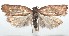  ( - 16-SRNP-101330)  @13 [ ] CreativeCommons  Attribution Non-Commercial Share-Alike (2017) Daniel H. Janzen Guanacaste Dry Forest Conservation Fund