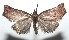  ( - 16-SRNP-101348)  @14 [ ] CreativeCommons  Attribution Non-Commercial Share-Alike (2017) Daniel H. Janzen Guanacaste Dry Forest Conservation Fund