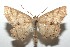  ( - 16-SRNP-101453)  @14 [ ] CreativeCommons  Attribution Non-Commercial Share-Alike (2017) Daniel H. Janzen Guanacaste Dry Forest Conservation Fund