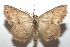  ( - 16-SRNP-101455)  @14 [ ] CreativeCommons  Attribution Non-Commercial Share-Alike (2017) Daniel H. Janzen Guanacaste Dry Forest Conservation Fund