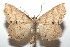  ( - 16-SRNP-101456)  @15 [ ] CreativeCommons  Attribution Non-Commercial Share-Alike (2017) Daniel H. Janzen Guanacaste Dry Forest Conservation Fund