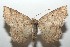  ( - 16-SRNP-101460)  @14 [ ] CreativeCommons  Attribution Non-Commercial Share-Alike (2017) Daniel H. Janzen Guanacaste Dry Forest Conservation Fund