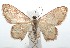  ( - 16-SRNP-101509)  @14 [ ] CreativeCommons  Attribution Non-Commercial Share-Alike (2017) Daniel H. Janzen Guanacaste Dry Forest Conservation Fund