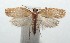  ( - 16-SRNP-101524)  @14 [ ] CreativeCommons  Attribution Non-Commercial Share-Alike (2017) Daniel H. Janzen Guanacaste Dry Forest Conservation Fund