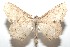  ( - 16-SRNP-101644)  @14 [ ] CreativeCommons  Attribution Non-Commercial Share-Alike (2017) Daniel H. Janzen Guanacaste Dry Forest Conservation Fund