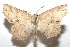  ( - 16-SRNP-101645)  @14 [ ] CreativeCommons  Attribution Non-Commercial Share-Alike (2017) Daniel H. Janzen Guanacaste Dry Forest Conservation Fund
