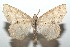  ( - 16-SRNP-101646)  @14 [ ] CreativeCommons  Attribution Non-Commercial Share-Alike (2017) Daniel H. Janzen Guanacaste Dry Forest Conservation Fund