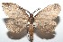  ( - 16-SRNP-101713)  @14 [ ] CreativeCommons  Attribution Non-Commercial Share-Alike (2017) Daniel H. Janzen Guanacaste Dry Forest Conservation Fund