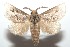  ( - 16-SRNP-101819)  @14 [ ] CreativeCommons  Attribution Non-Commercial Share-Alike (2017) Daniel H. Janzen Guanacaste Dry Forest Conservation Fund