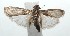  ( - 16-SRNP-101944)  @14 [ ] CreativeCommons  Attribution Non-Commercial Share-Alike (2017) Daniel H. Janzen Guanacaste Dry Forest Conservation Fund