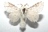  ( - 16-SRNP-102026)  @14 [ ] CreativeCommons  Attribution Non-Commercial Share-Alike (2017) Daniel H. Janzen Guanacaste Dry Forest Conservation Fund