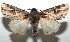  ( - 16-SRNP-103583)  @14 [ ] CreativeCommons - Attribution Non-Commercial Share-Alike (2018) Daniel H. Janzen Guanacaste Dry Forest Conservation Fund