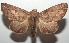  ( - 16-SRNP-103989)  @14 [ ] CreativeCommons - Attribution Non-Commercial Share-Alike (2018) Daniel H. Janzen Guanacaste Dry Forest Conservation Fund