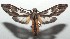  ( - 16-SRNP-104190)  @14 [ ] CreativeCommons - Attribution Non-Commercial Share-Alike (2018) Daniel H. Janzen Guanacaste Dry Forest Conservation Fund