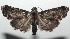  ( - 16-SRNP-104335)  @13 [ ] CreativeCommons - Attribution Non-Commercial Share-Alike (2018) Daniel H. Janzen Guanacaste Dry Forest Conservation Fund