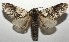  ( - 16-SRNP-104558)  @14 [ ] CreativeCommons - Attribution Non-Commercial Share-Alike (2018) Daniel H. Janzen Guanacaste Dry Forest Conservation Fund
