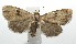 ( - 16-SRNP-104654)  @13 [ ] CreativeCommons - Attribution Non-Commercial Share-Alike (2018) Daniel H. Janzen Guanacaste Dry Forest Conservation Fund