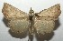  ( - 16-SRNP-104716)  @14 [ ] CreativeCommons - Attribution Non-Commercial Share-Alike (2018) Daniel H. Janzen Guanacaste Dry Forest Conservation Fund