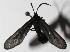  ( - 16-SRNP-20492)  @12 [ ] CreativeCommons  Attribution Non-Commercial Share-Alike (2017) Daniel H. Janzen Guanacaste Dry Forest Conservation Fund