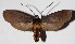  ( - 16-SRNP-30430)  @14 [ ] CreativeCommons  Attribution Non-Commercial Share-Alike (2017) Daniel H. Janzen Guanacaste Dry Forest Conservation Fund