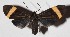  ( - 16-SRNP-70022)  @14 [ ] CreativeCommons  Attribution Non-Commercial Share-Alike (2017) Daniel H. Janzen Guanacaste Dry Forest Conservation Fund