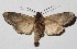  ( - 16-SRNP-75342)  @14 [ ] CreativeCommons  Attribution Non-Commercial Share-Alike (2017) Daniel H. Janzen Guanacaste Dry Forest Conservation Fund