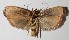  ( - 12-SRNP-86618)  @14 [ ] CreativeCommons  Attribution Non-Commercial Share-Alike (2016) Unspecified Guanacaste Dry Forest Conservation Fund