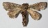  ( - 12-SRNP-86691)  @12 [ ] CreativeCommons  Attribution Non-Commercial Share-Alike (2017) Daniel H. Janzen Guanacaste Dry Forest Conservation Fund