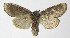  ( - 12-SRNP-86880)  @14 [ ] CreativeCommons  Attribution Non-Commercial Share-Alike (2017) Daniel H. Janzen Guanacaste Dry Forest Conservation Fund