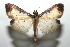 ( - 15-SRNP-102198)  @14 [ ] CreativeCommons  Attribution Non-Commercial Share-Alike (2016) Unspecified Guanacaste Dry Forest Conservation Fund