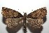  ( - 15-SRNP-102265)  @14 [ ] CreativeCommons  Attribution Non-Commercial Share-Alike (2016) Unspecified Guanacaste Dry Forest Conservation Fund