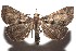  ( - 15-SRNP-102334)  @14 [ ] CreativeCommons  Attribution Non-Commercial Share-Alike (2016) Unspecified Guanacaste Dry Forest Conservation Fund
