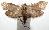  ( - 15-SRNP-102369)  @14 [ ] CreativeCommons  Attribution Non-Commercial Share-Alike (2016) Unspecified Guanacaste Dry Forest Conservation Fund