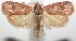  ( - 15-SRNP-102420)  @14 [ ] CreativeCommons  Attribution Non-Commercial Share-Alike (2016) Unspecified Guanacaste Dry Forest Conservation Fund