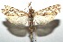  ( - 15-SRNP-102451)  @13 [ ] CreativeCommons  Attribution Non-Commercial Share-Alike (2016) Unspecified Guanacaste Dry Forest Conservation Fund