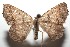  ( - 15-SRNP-102488)  @14 [ ] CreativeCommons  Attribution Non-Commercial Share-Alike (2016) Unspecified Guanacaste Dry Forest Conservation Fund
