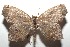  ( - 15-SRNP-102507)  @12 [ ] CreativeCommons  Attribution Non-Commercial Share-Alike (2016) Unspecified Guanacaste Dry Forest Conservation Fund