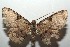  ( - 15-SRNP-102522)  @12 [ ] CreativeCommons  Attribution Non-Commercial Share-Alike (2016) Unspecified Guanacaste Dry Forest Conservation Fund