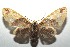  ( - 15-SRNP-102532)  @14 [ ] CreativeCommons  Attribution Non-Commercial Share-Alike (2016) Unspecified Guanacaste Dry Forest Conservation Fund