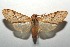  ( - 15-SRNP-102539)  @14 [ ] CreativeCommons  Attribution Non-Commercial Share-Alike (2016) Unspecified Guanacaste Dry Forest Conservation Fund