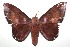 ( - 15-SRNP-102572)  @14 [ ] CreativeCommons  Attribution Non-Commercial Share-Alike (2016) Unspecified Guanacaste Dry Forest Conservation Fund