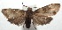  ( - 15-SRNP-102605)  @14 [ ] CreativeCommons  Attribution Non-Commercial Share-Alike (2016) Unspecified Guanacaste Dry Forest Conservation Fund