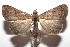  ( - 15-SRNP-102646)  @14 [ ] CreativeCommons  Attribution Non-Commercial Share-Alike (2016) Unspecified Guanacaste Dry Forest Conservation Fund