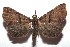  ( - 15-SRNP-102649)  @14 [ ] CreativeCommons  Attribution Non-Commercial Share-Alike (2016) Unspecified Guanacaste Dry Forest Conservation Fund
