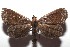  ( - 15-SRNP-102651)  @14 [ ] CreativeCommons  Attribution Non-Commercial Share-Alike (2016) Unspecified Guanacaste Dry Forest Conservation Fund