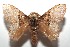  ( - 15-SRNP-102667)  @14 [ ] CreativeCommons  Attribution Non-Commercial Share-Alike (2016) Unspecified Guanacaste Dry Forest Conservation Fund