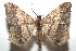 ( - 15-SRNP-102707)  @14 [ ] CreativeCommons  Attribution Non-Commercial Share-Alike (2016) Unspecified Guanacaste Dry Forest Conservation Fund