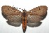  ( - 15-SRNP-102726)  @14 [ ] CreativeCommons  Attribution Non-Commercial Share-Alike (2016) Unspecified Guanacaste Dry Forest Conservation Fund